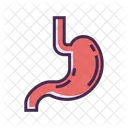 Estomago Icono