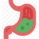 Estómago  Icono