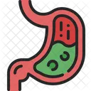 Estomago Digestivo Anatomia Icono