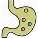 Estómago  Icono