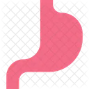 Estómago  Icono