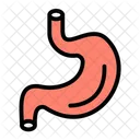 Estomago Digestion Bio Icon