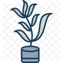Estragon Topf Krauter Symbol