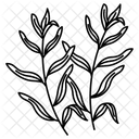 Estragon Krauter Gewurze Symbol