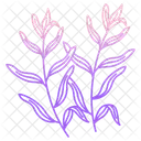Estragon Krauter Gewurze Symbol