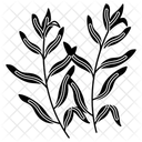 Estragon Krauter Gewurze Symbol