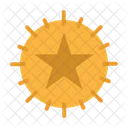 Estrela Taxa Favorito Icon