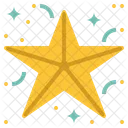 Estrela Natal Dia Icon