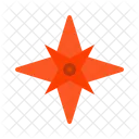 Estrela Icon