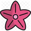 Estrela do Mar  Ícone