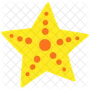 Estrela Do Mar Asteroide Peixe Icon