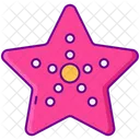 Estrela Do Mar Ícone