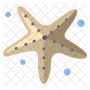 Estrela Do Mar Peixe Peixe Do Mar Ícone