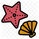 Estrela Do Mar Concha Concha Icon