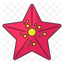 Estrela Do Mar Equinoderme Aquario Icon