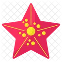 Estrela Do Mar Equinoderme Aquario Icon