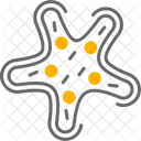 Estrela do Mar  Icon