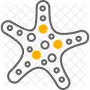 Estrela do Mar  Icon