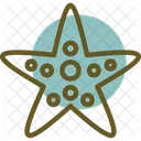 Estrela Do Mar Estrela Do Mar Estrela Oceanica Icon