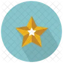 Estrela Icon