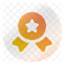 Estrela da medalha  Icon