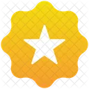 Estrella Favorito Calificacion Icono