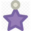 Estrella Adorno Navidad Icon