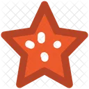 Estrella Adorno Clasificacion Icon