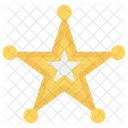 Estrella Grado Premio Icon