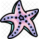 Estrella De Mar Icono