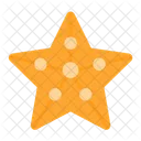 Estrella de mar  Icono