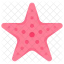 Estrella de mar  Icon