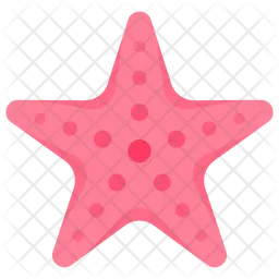 Estrella de mar  Icono