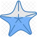 Estrella De Mar Estrella De Mar Mar Icono