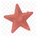 Estrella De Mar Mar Animal Icon