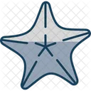 Estrella De Mar Estrella De Mar Mar Icono