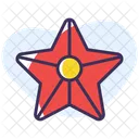 Estrella De Mar Icono