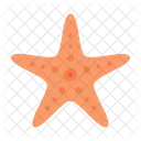 Estrella de mar  Icono