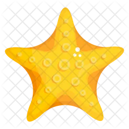 Estrella de mar  Icono