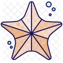 Estrella de mar  Icono