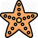 Estrella de mar  Icono