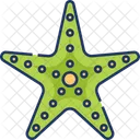 Estrella De Mar Mar Animal Icono