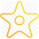 Estrella De Mar Icono