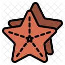 Estrella de mar  Icon