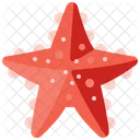 Estrella de mar  Icono