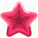 Estrella de mar  Icon