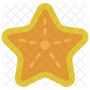 Estrella de mar  Icono