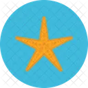 Estrella de mar  Icono