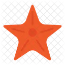 Estrella de mar  Icono