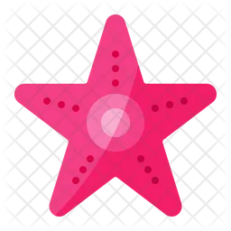 Estrella de mar  Icono